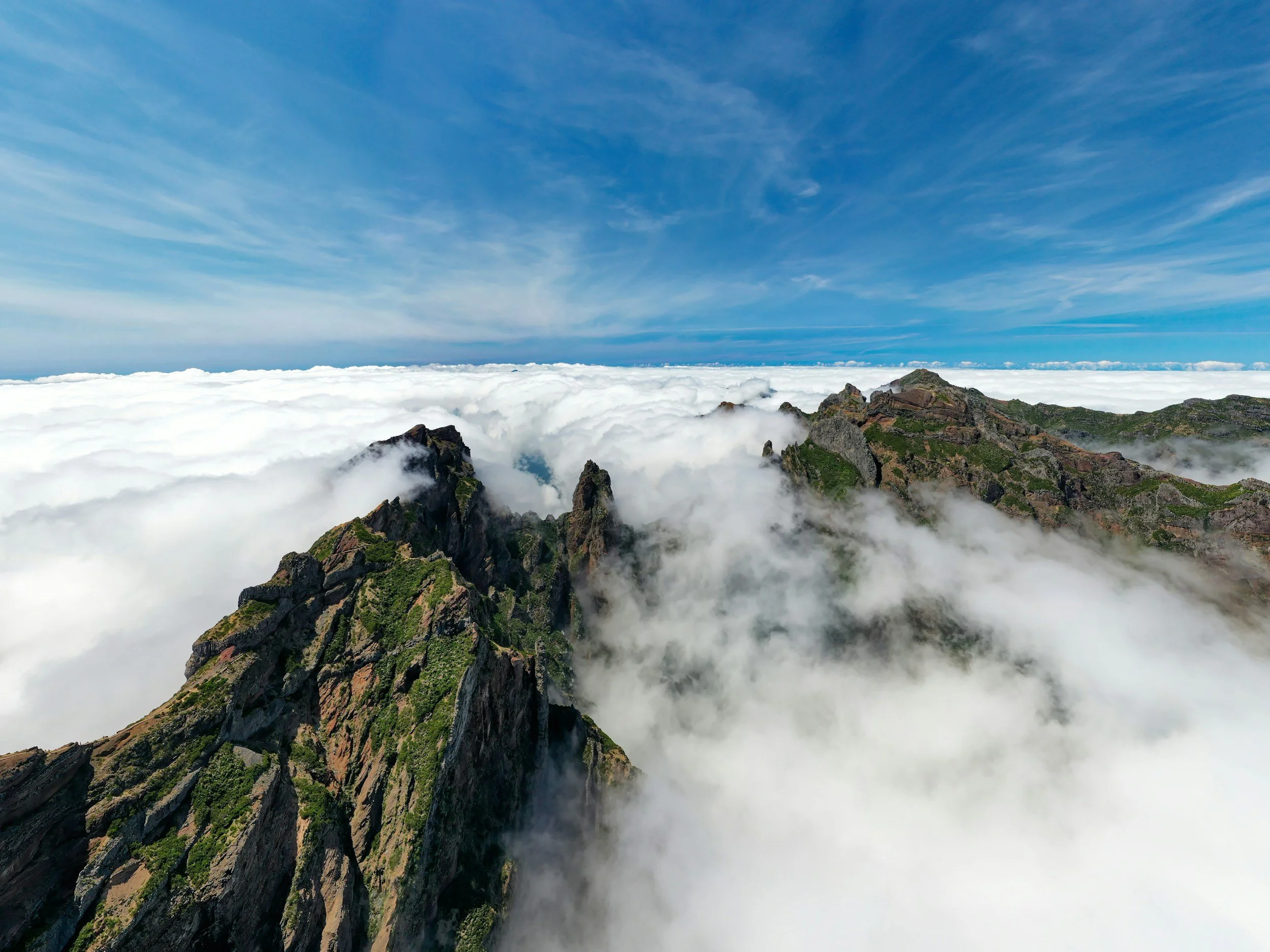 unsplash-image-Y4APBGUYmPY.jpg