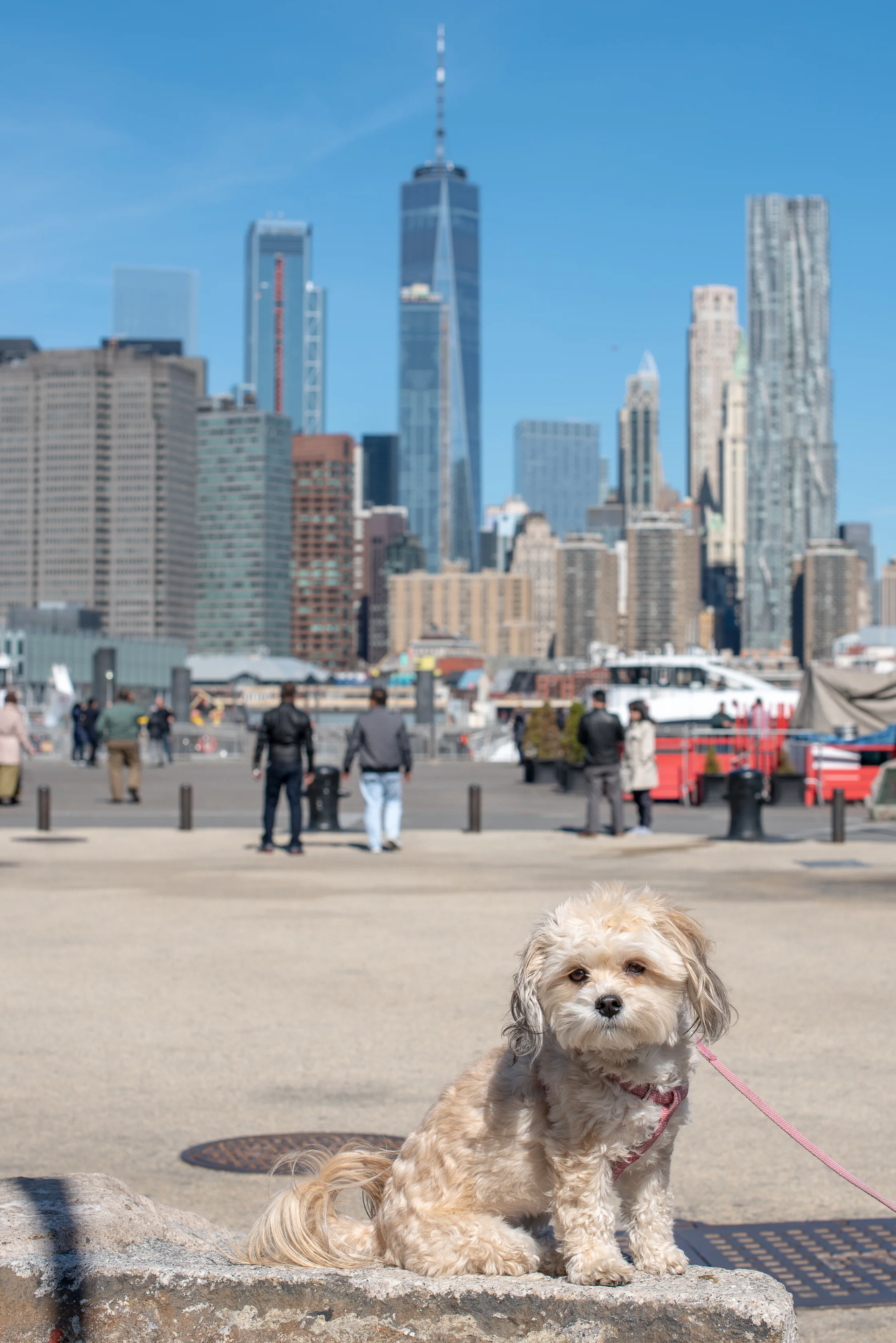 Alex_Elizabeth_Proposal_4-21-2018-9.jpg