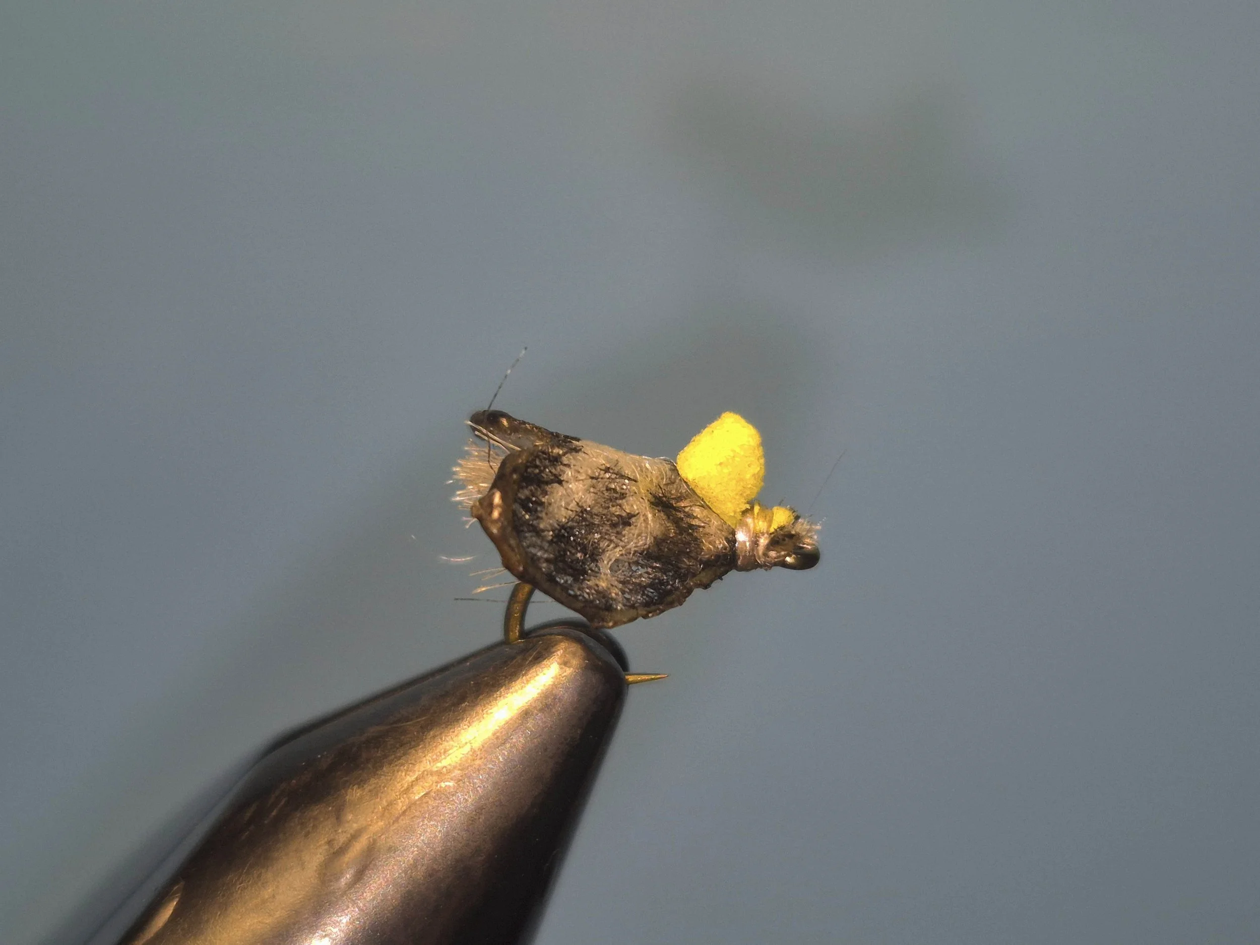 Passionvine Hopper