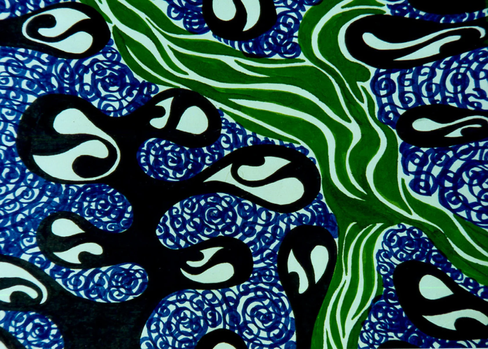 acquaticforms (format change to JPEG High Quality).jpg