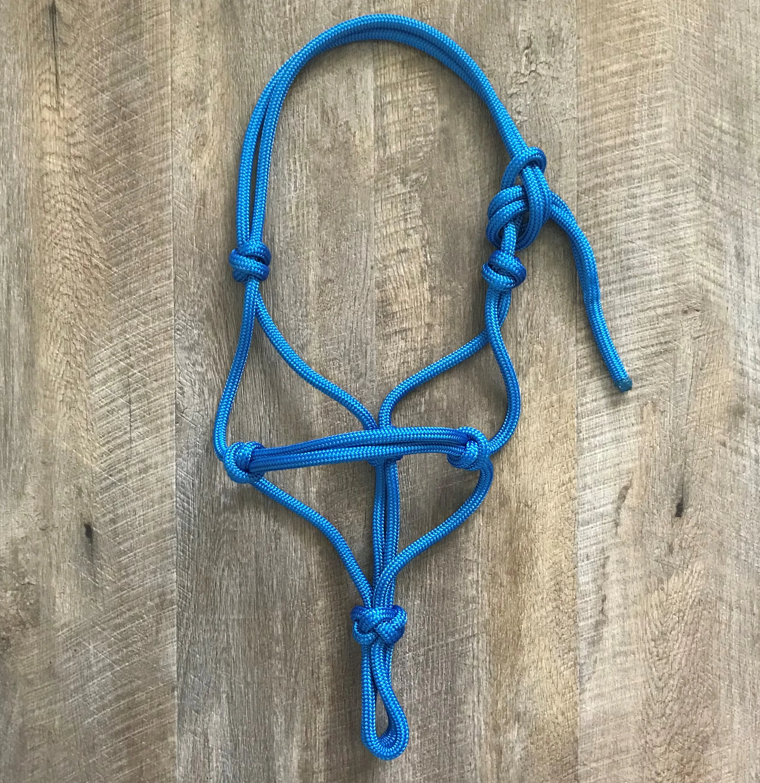 Rope halter