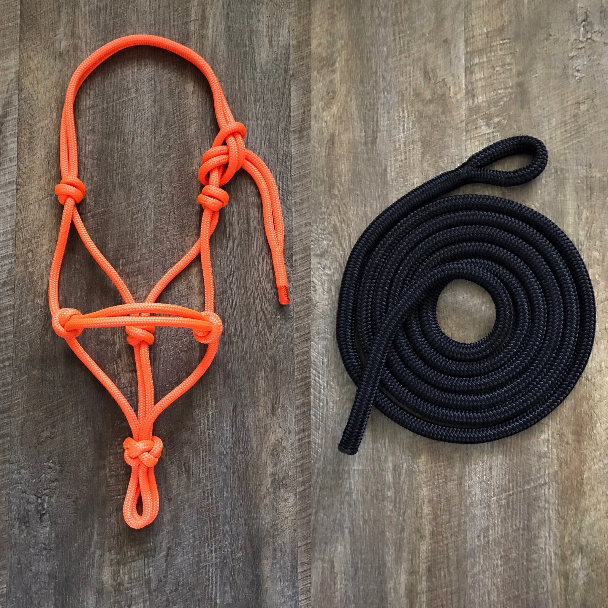 ORANGE HALTER &amp; BLACK LEAD