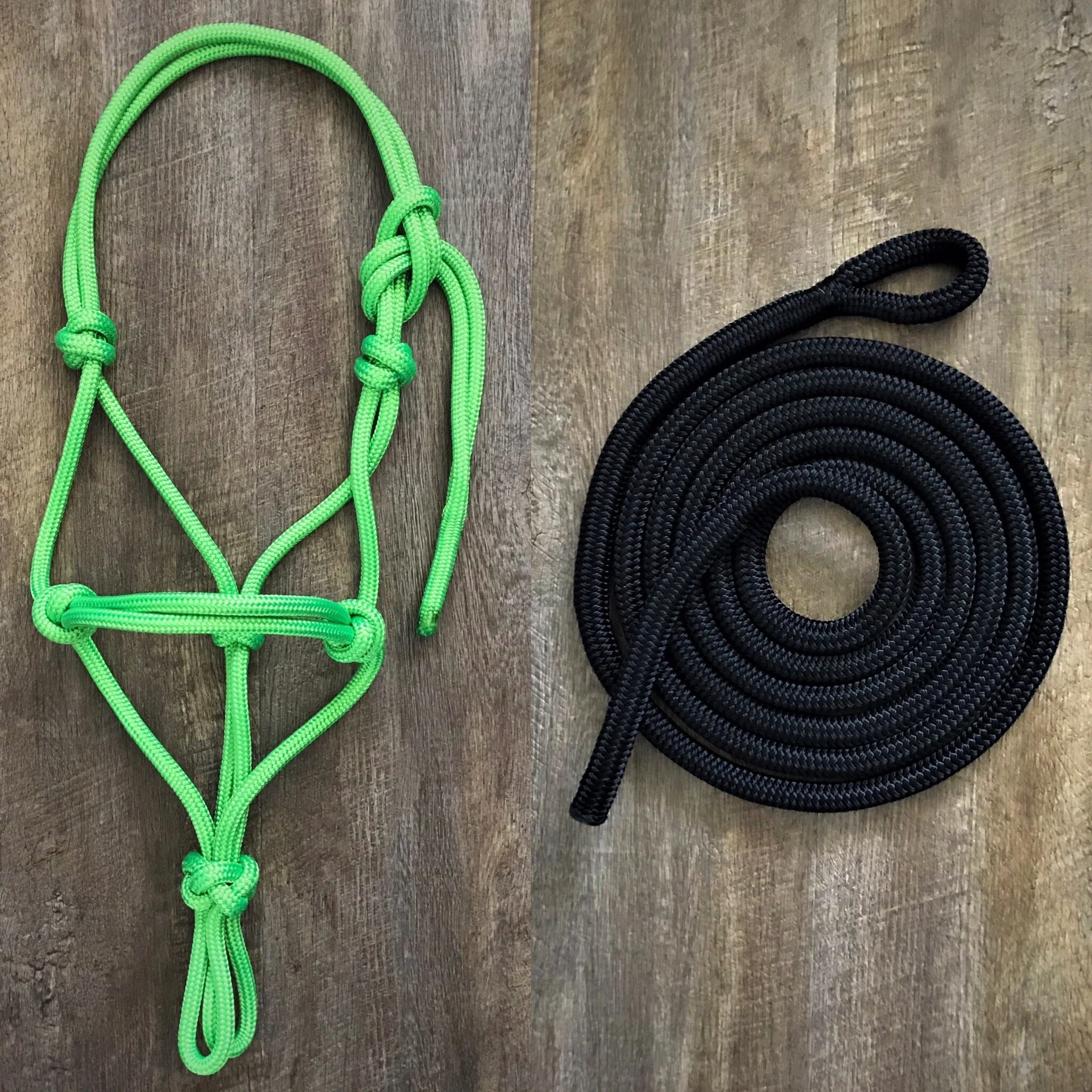 LIME GREEN HALTER &amp; BLACK LEAD