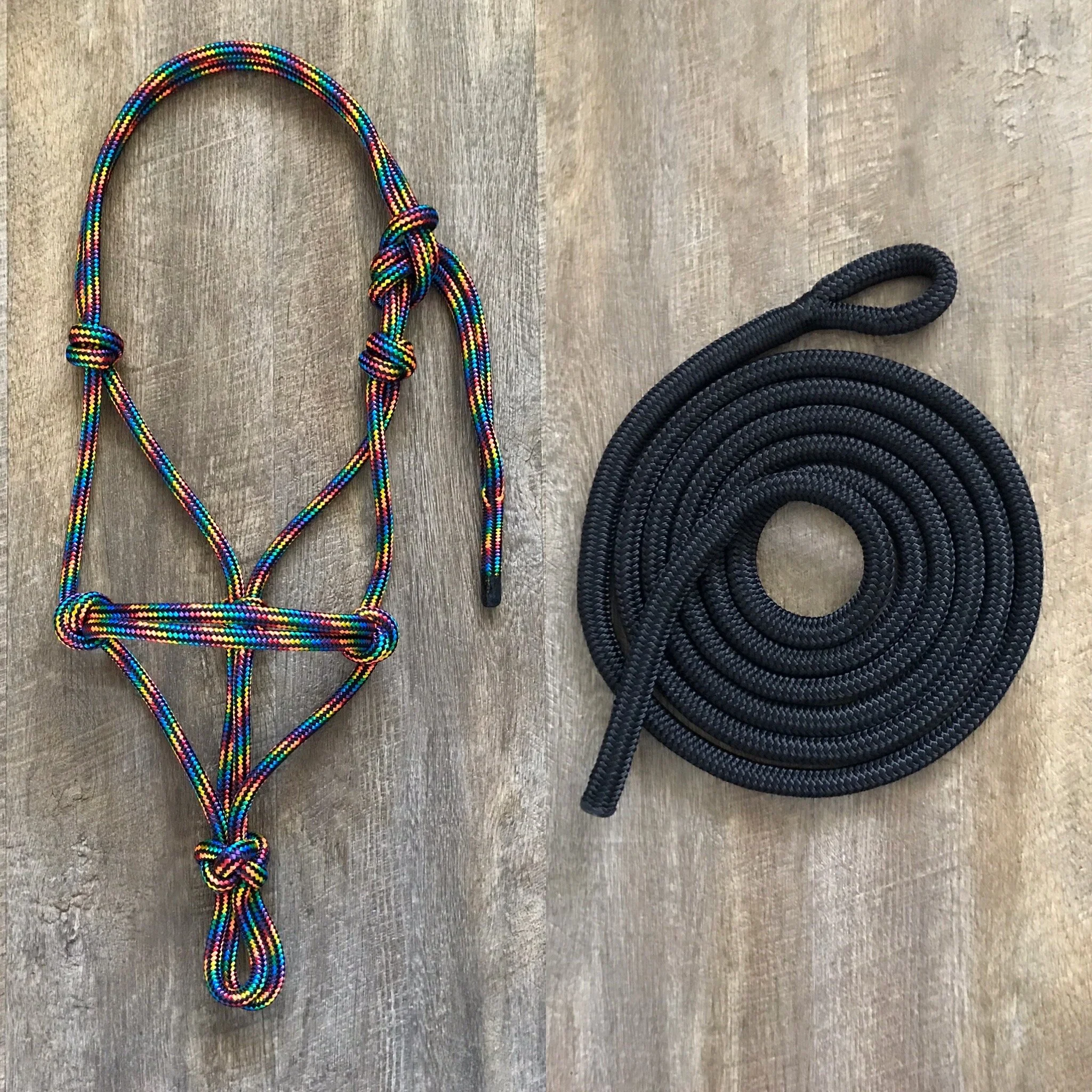 RAINBOW HALTER &amp; BLACK LEAD