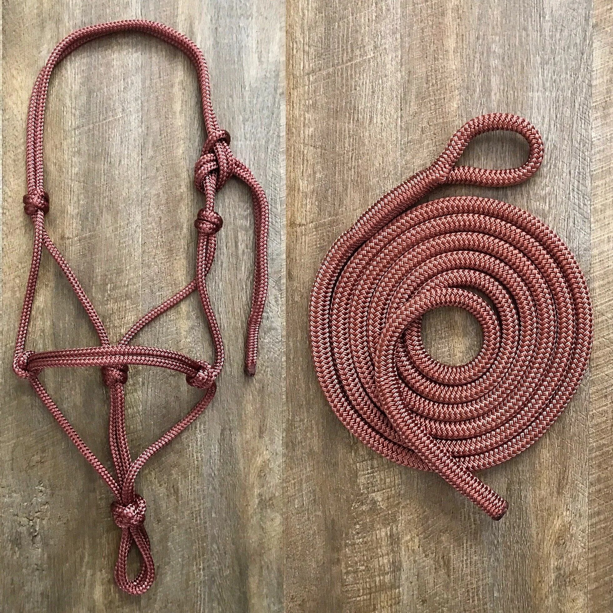 Halter & lead set
