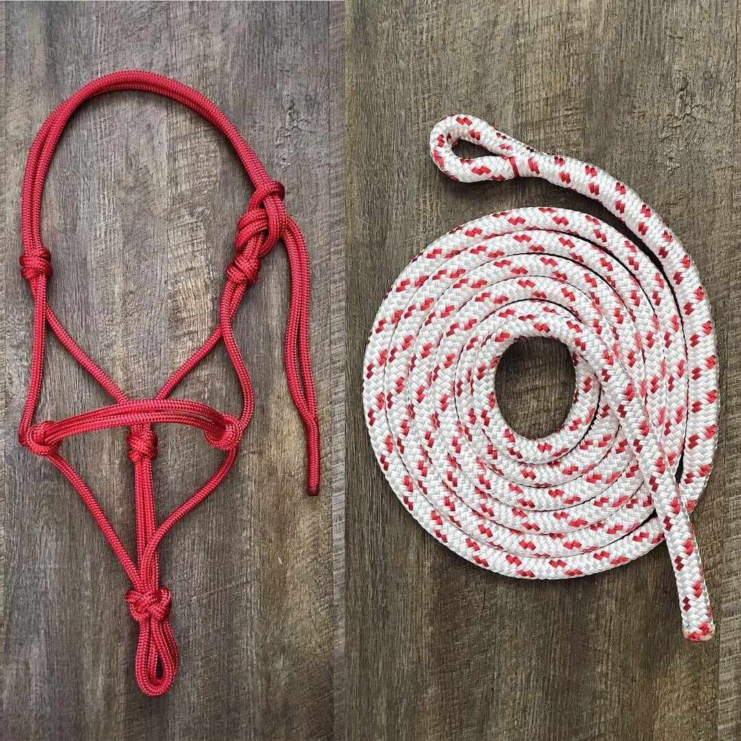 RED HALTER &amp; WHITE WITH RED FLECK LEAD