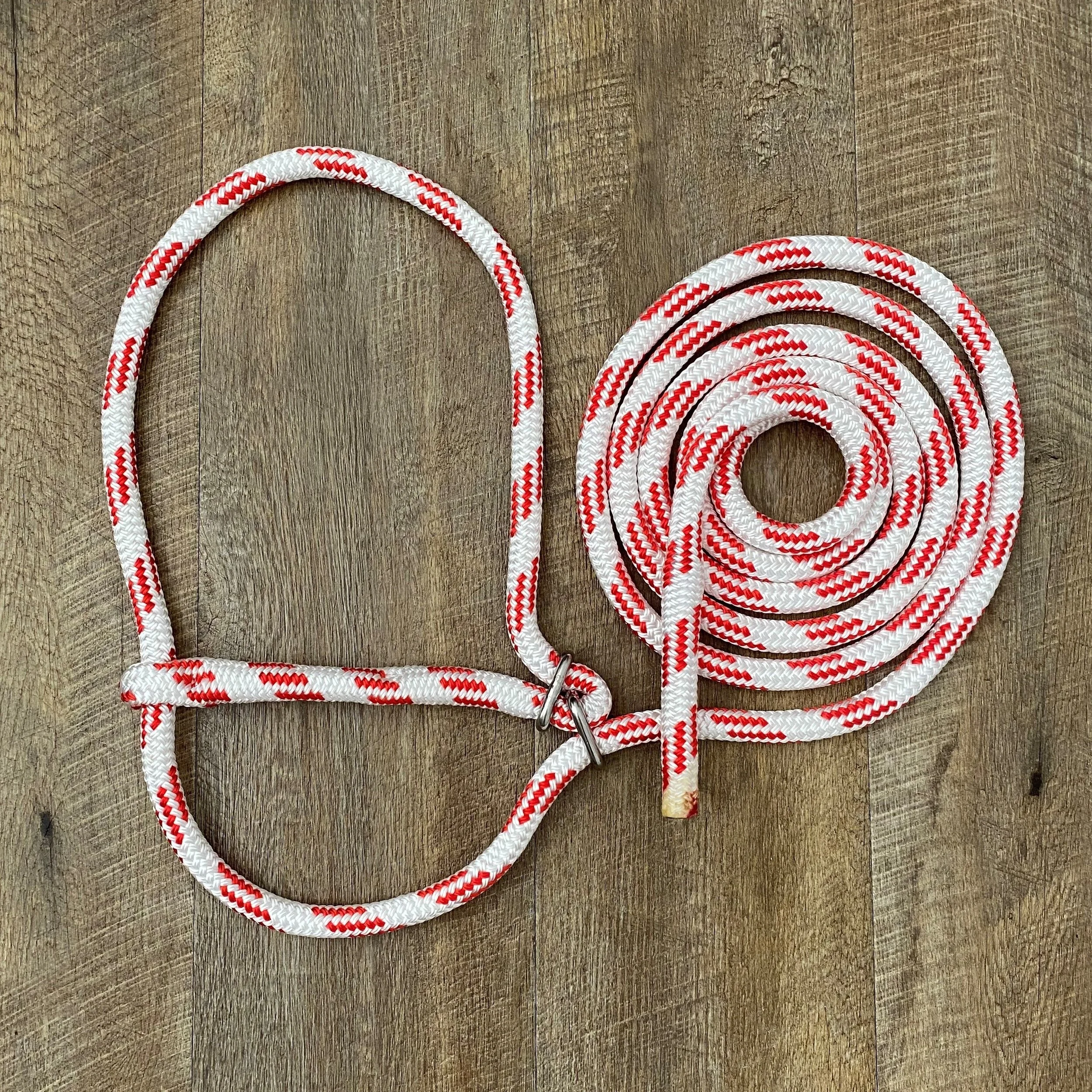 Cattle halter