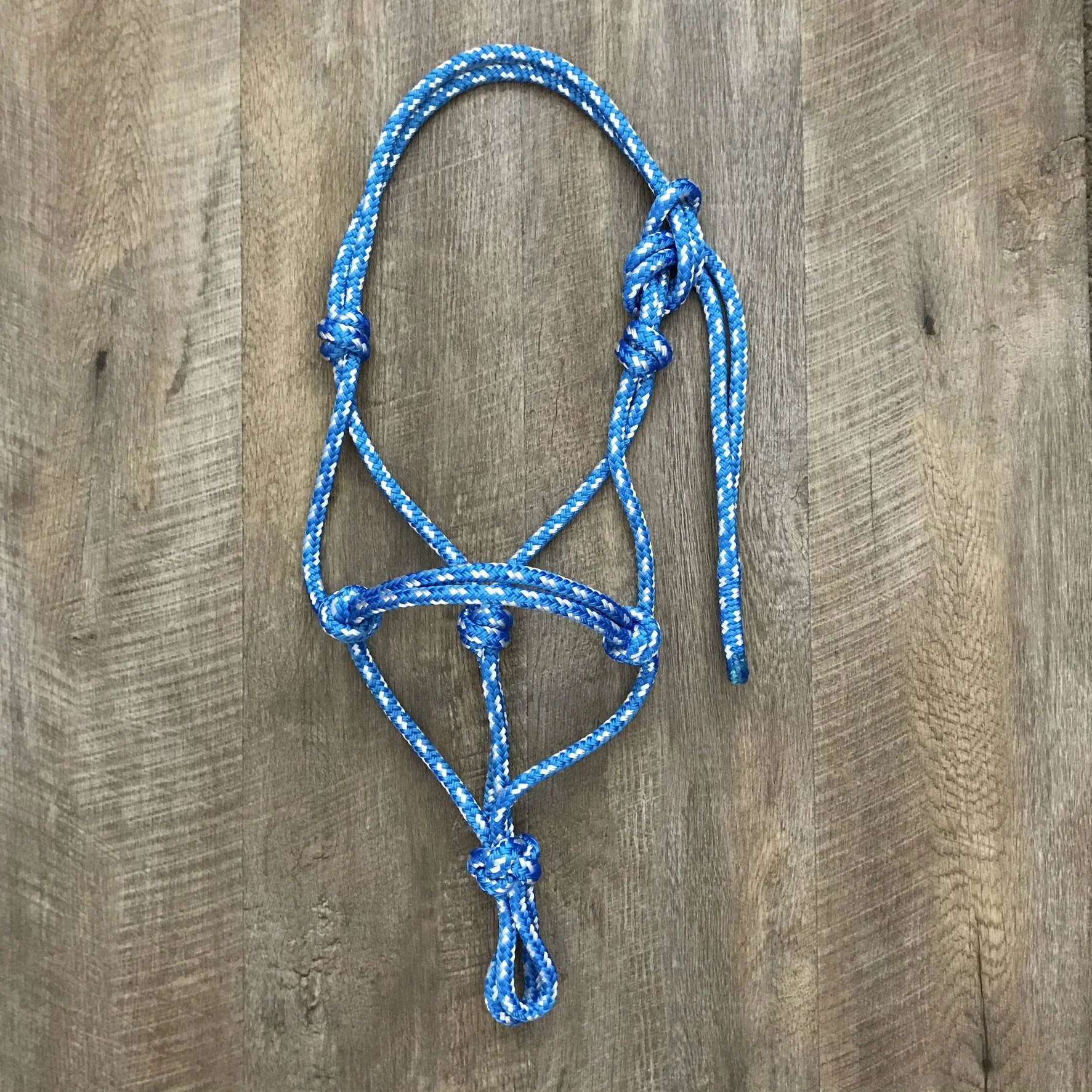 BLUE WITH WHITE FLECK.JPEG