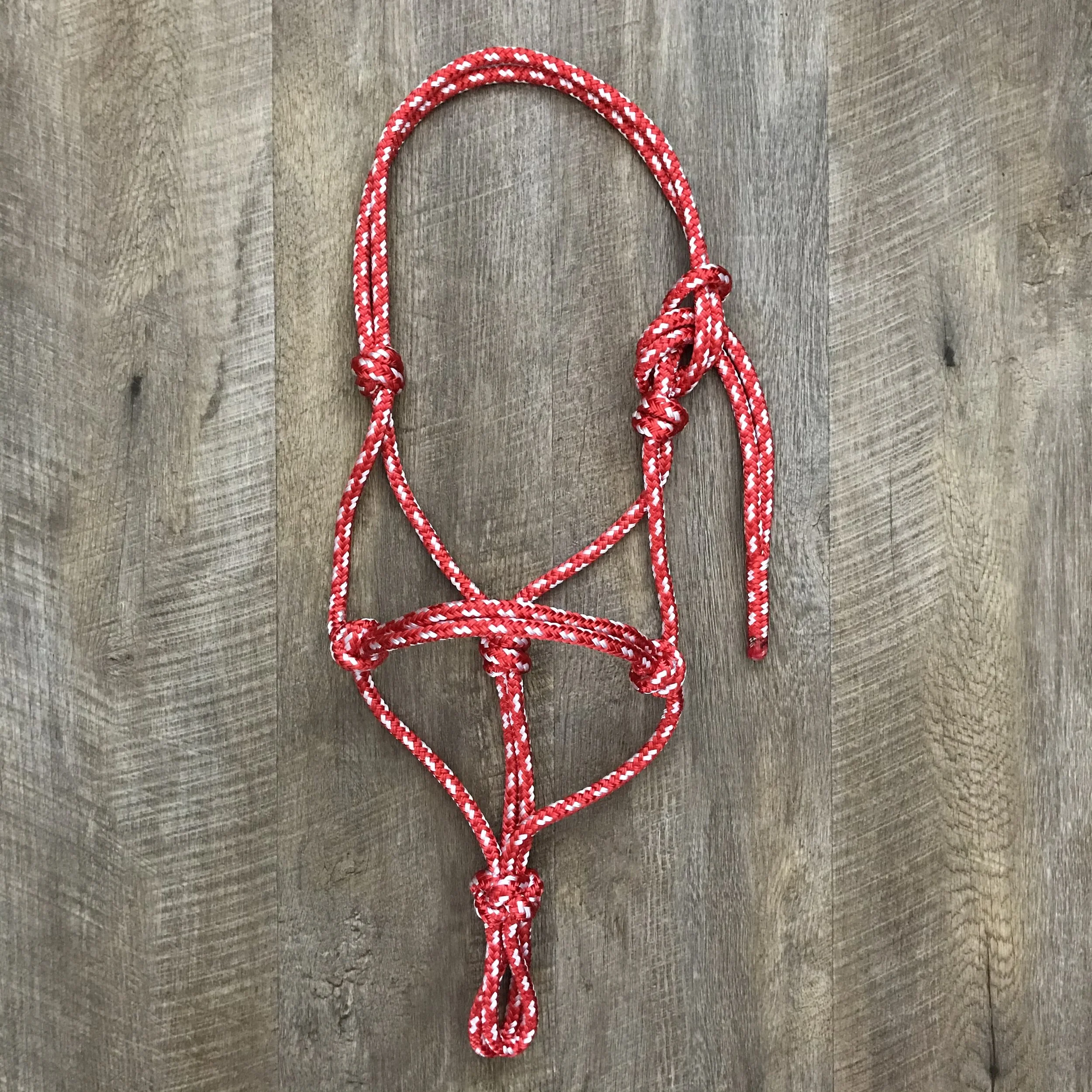 RED WITH WHITE FLECK.JPEG