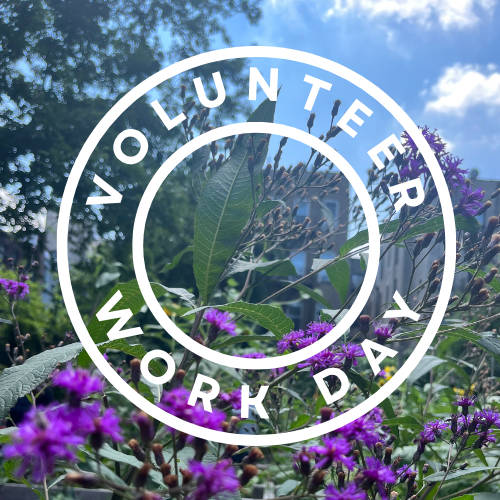 Volunteer Workday