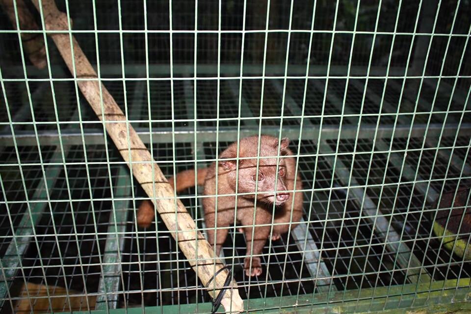 Anomali Coffee in Ubud Aug 5 2016 5.jpg