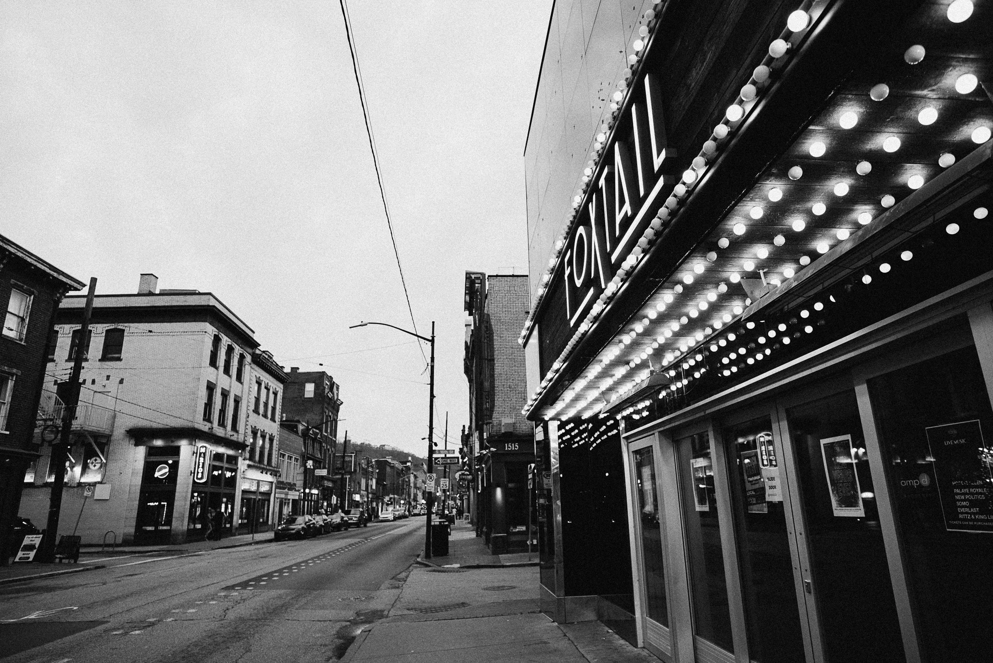 DSC_9912Jody Mader Photography Pittsburgh South Side Foxtail.jpg