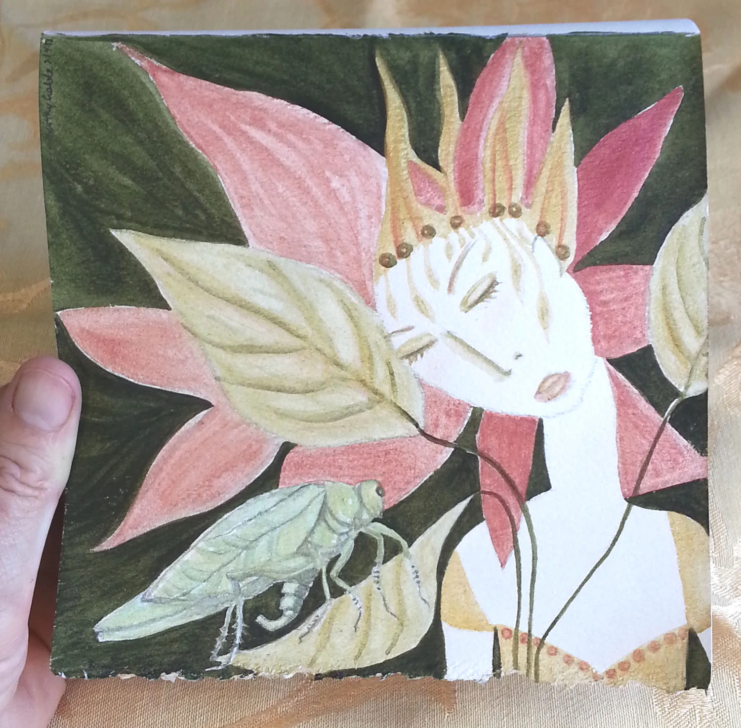Katydid in hand.jpg