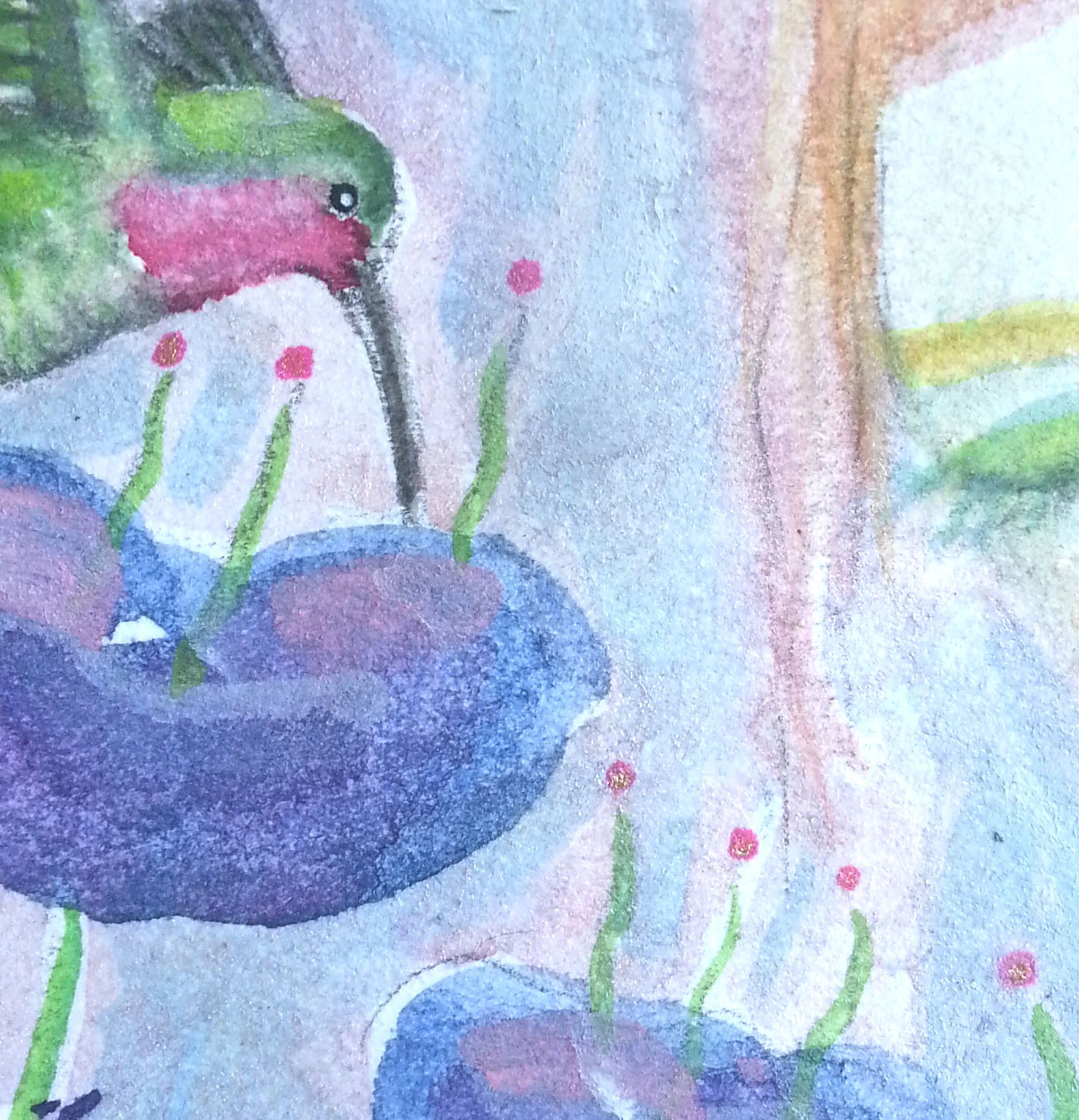 Hummingbird crop.jpg