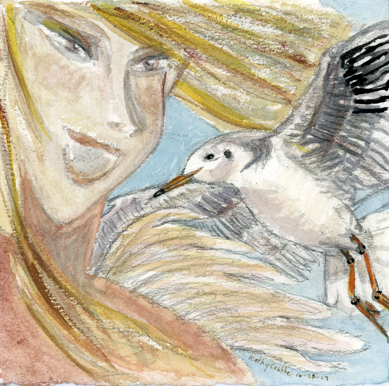 Seagull 72.jpg