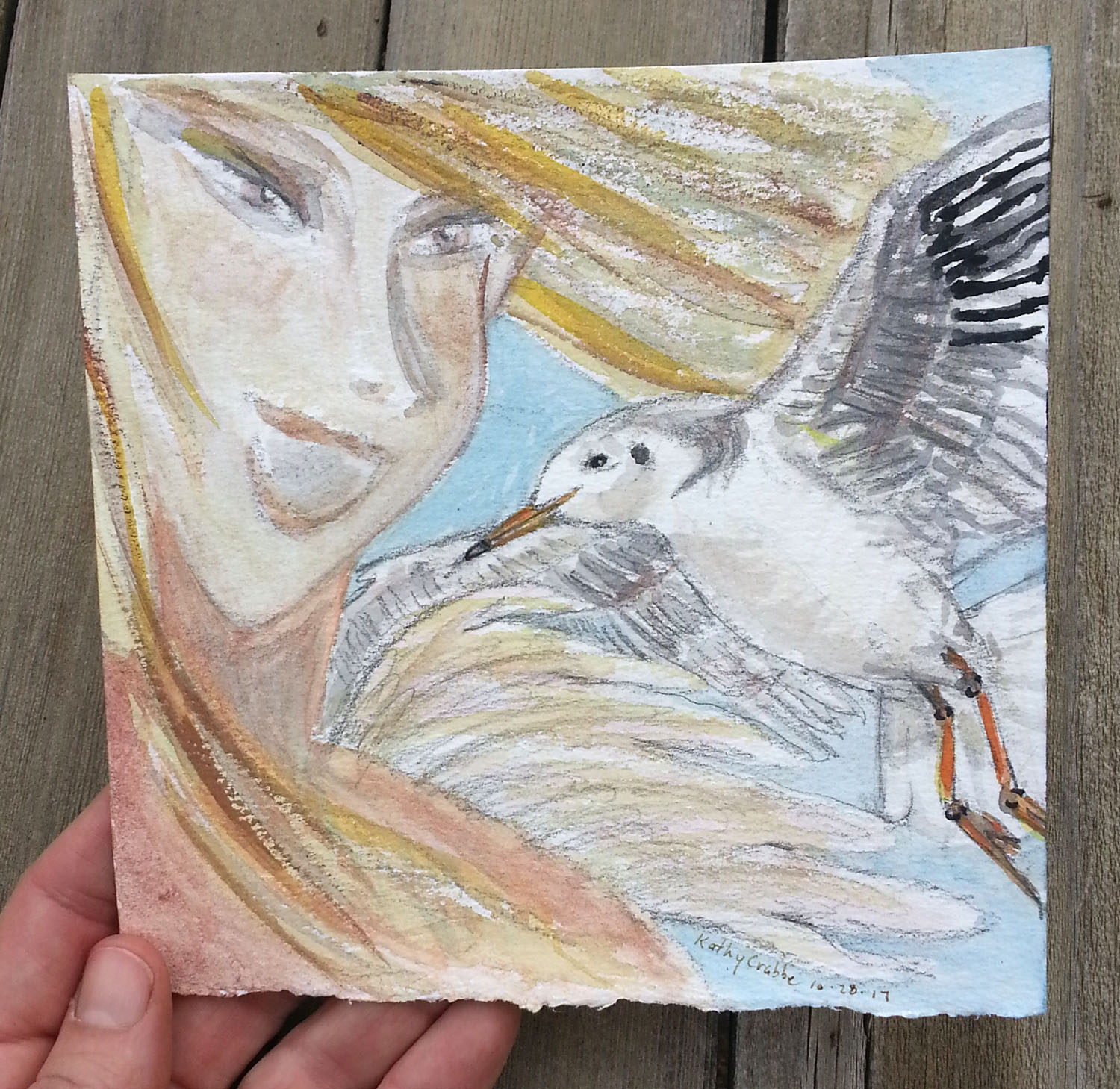 Seagull in hand.jpg