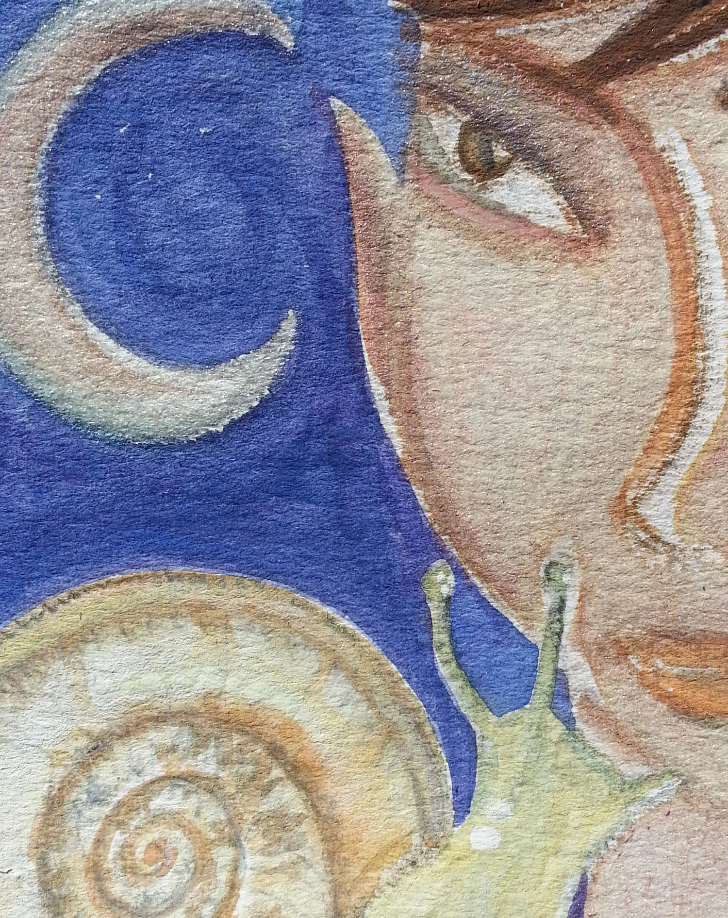 Snail close up.jpg