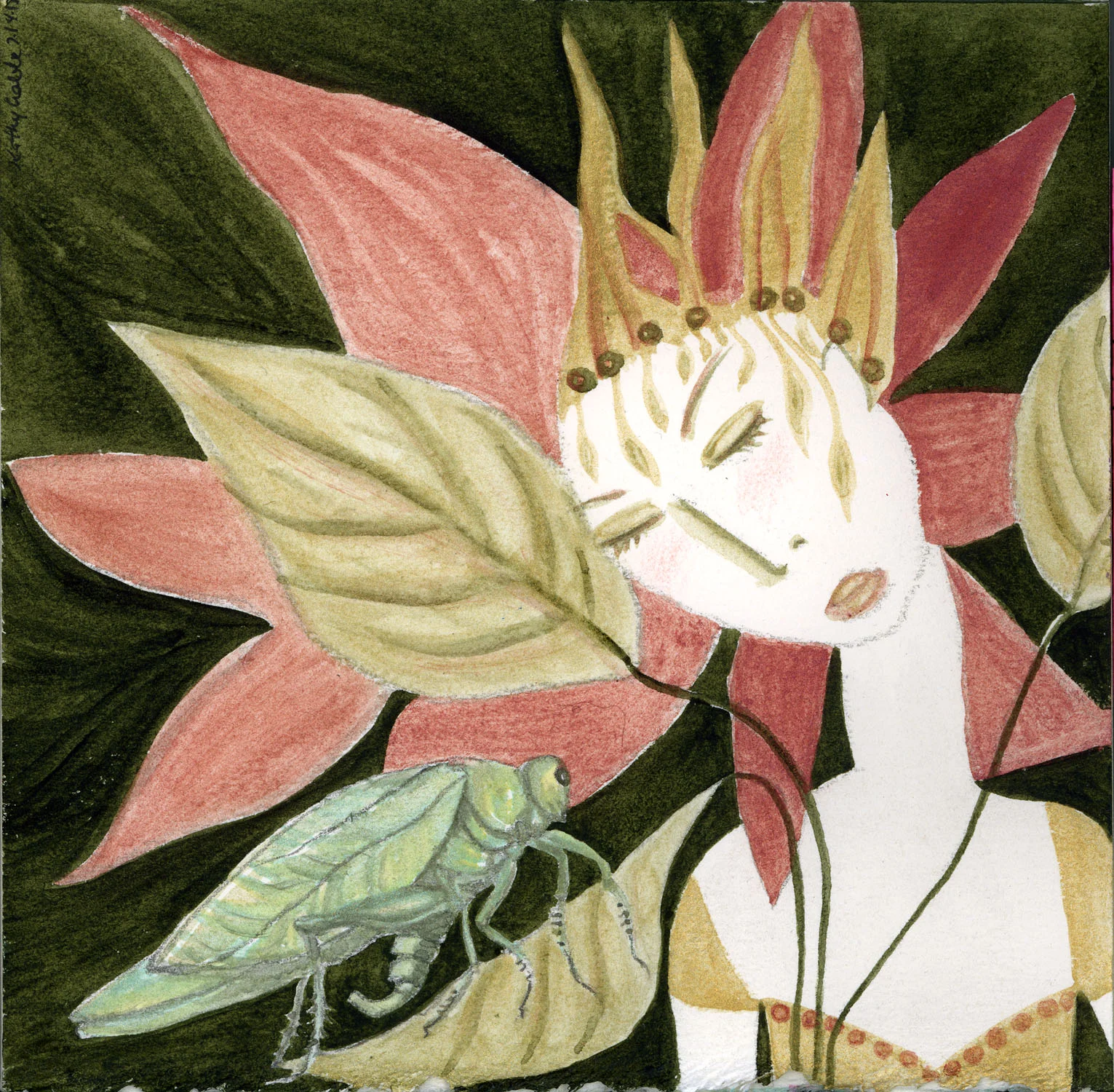 Katydid 72.jpg