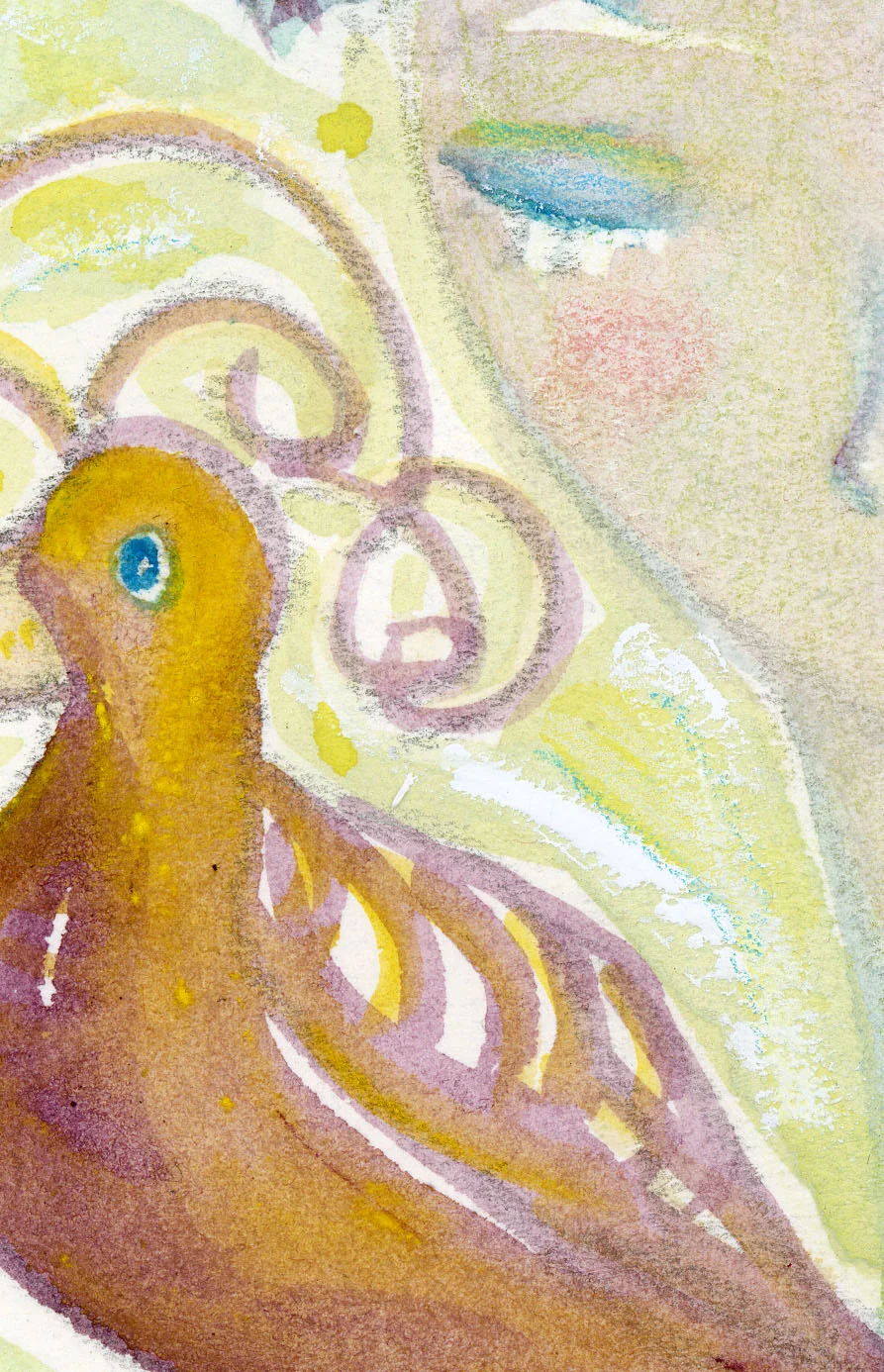Bird Rosy crop.jpg
