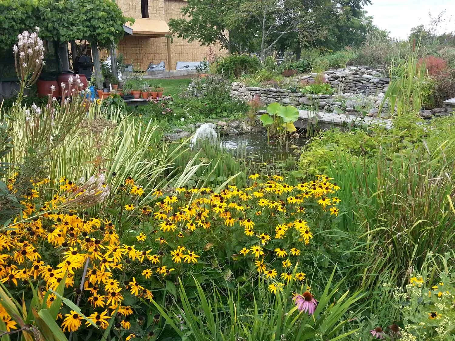 Mad Dog Gallery, gardens, Prince Edward County