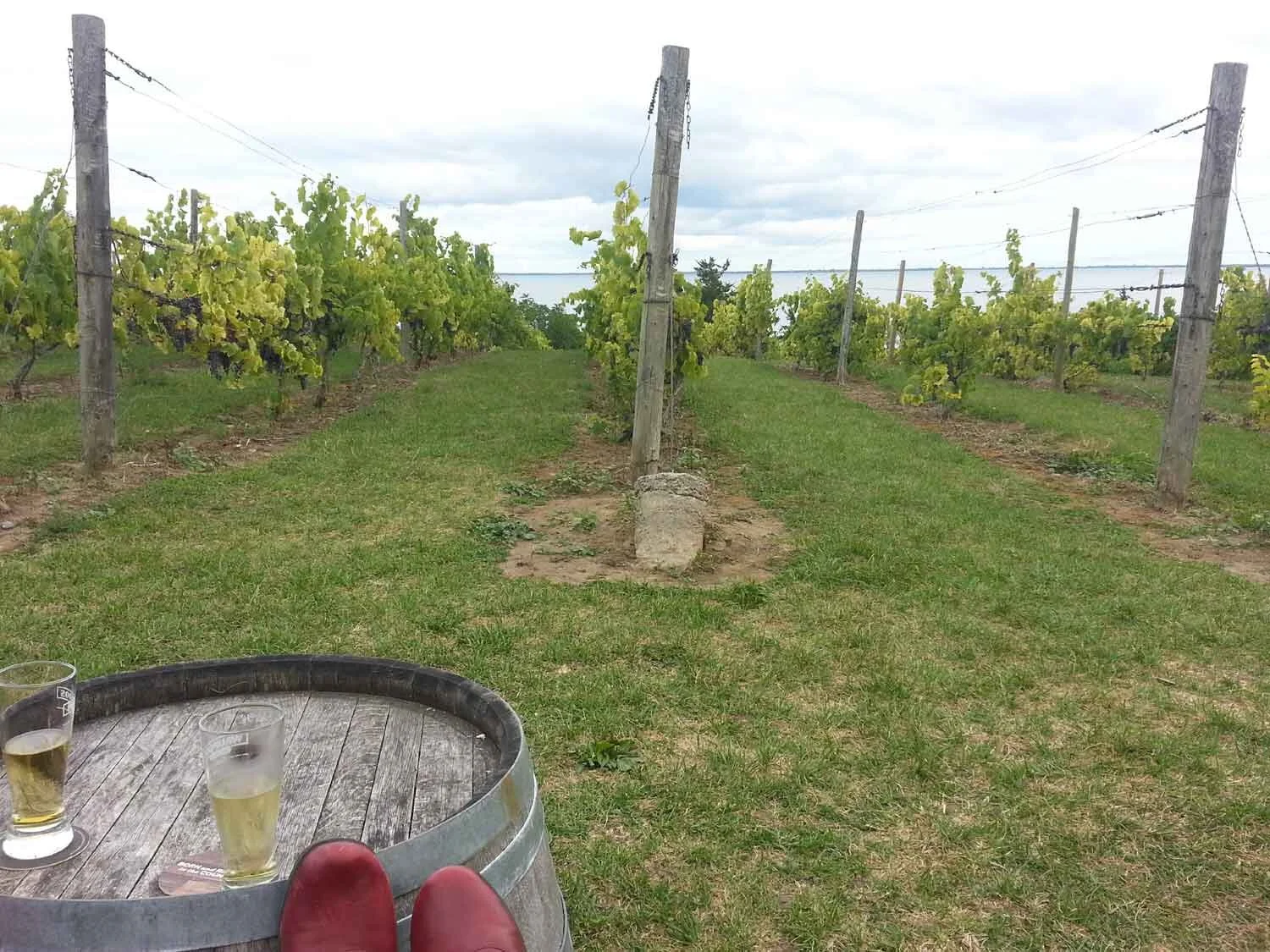 County Cider, Prince Edward County