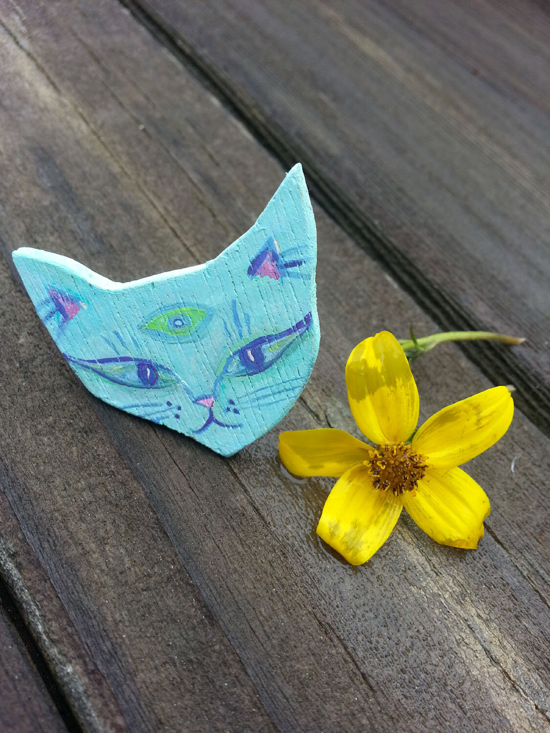 cat blue ring 1.jpg
