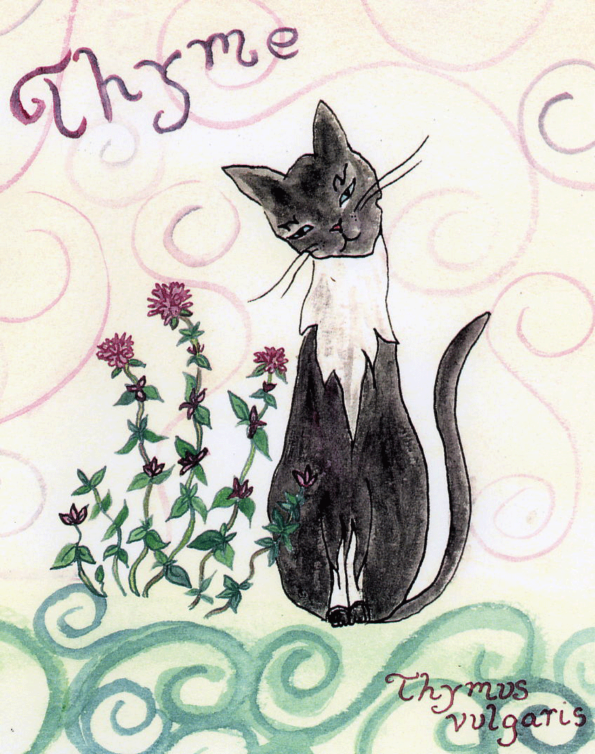 Thyme-72-copy.gif
