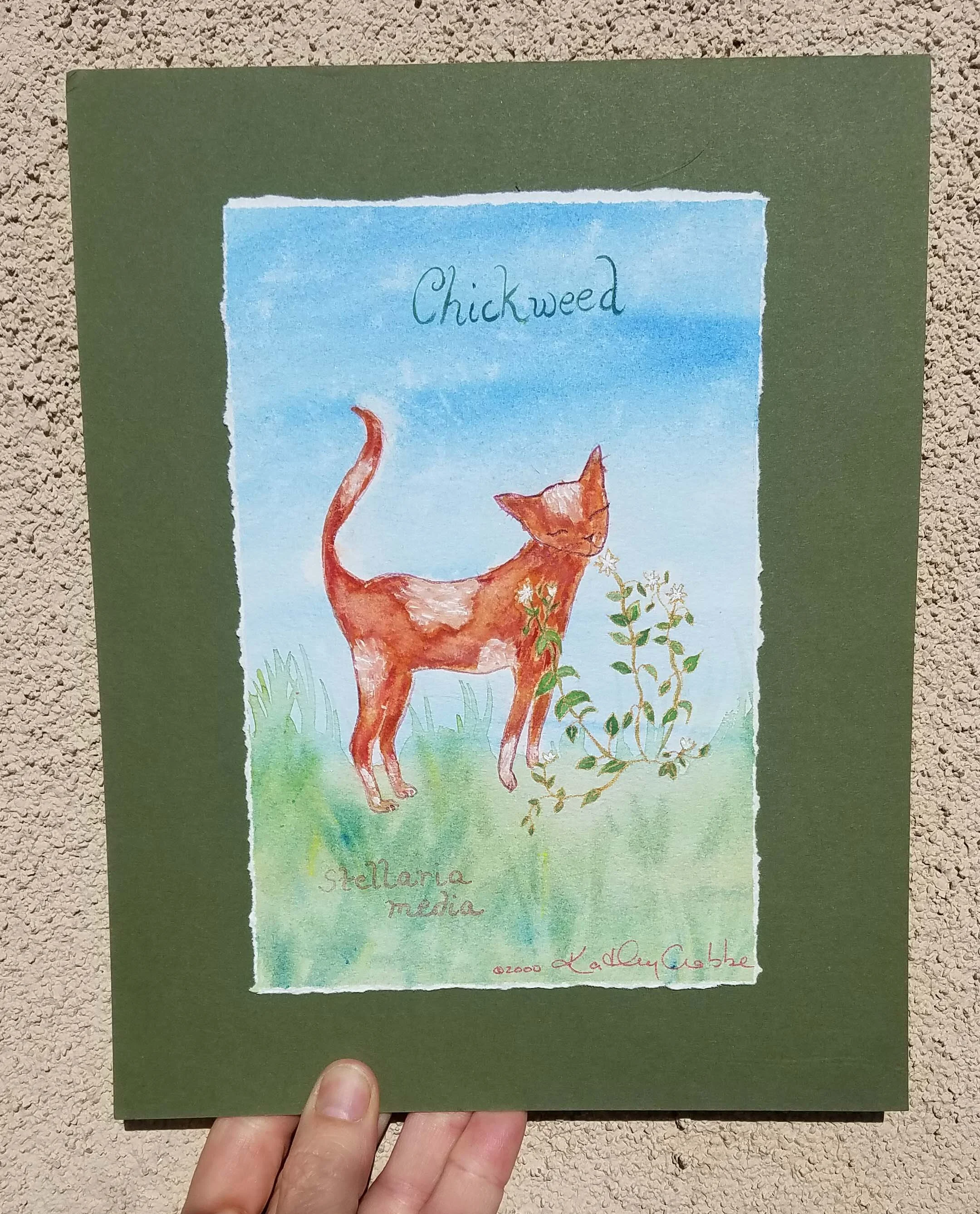 Chickweed in hand 1.jpg