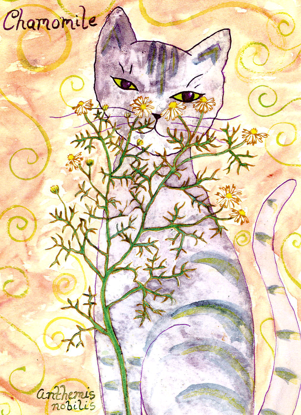 Cat Herbal Oracle Deck Art