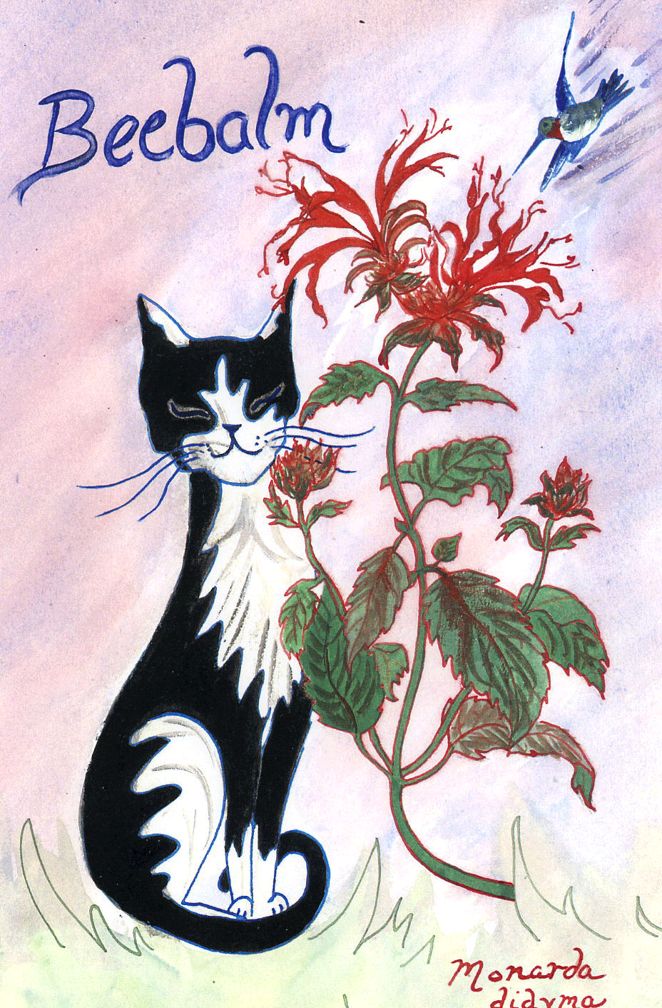 Beebalm-72-copy.gif