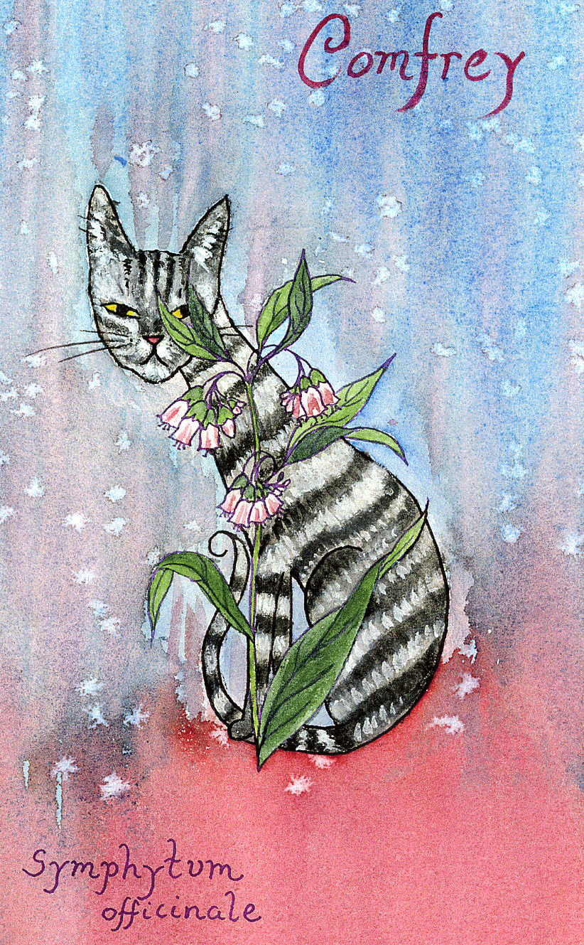 Comfrey-72-copy.gif