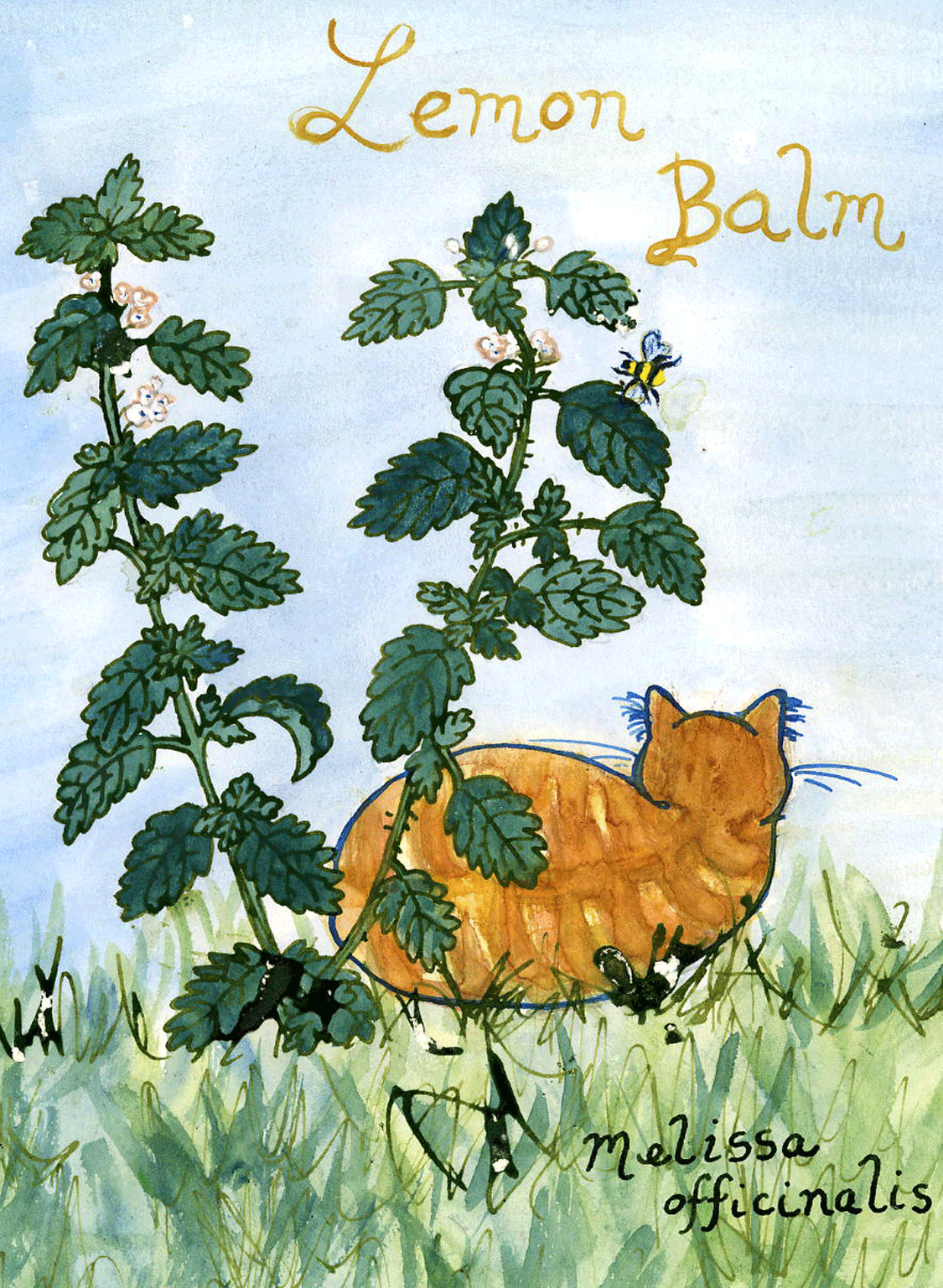 Lemon-Balm-copy-3.gif