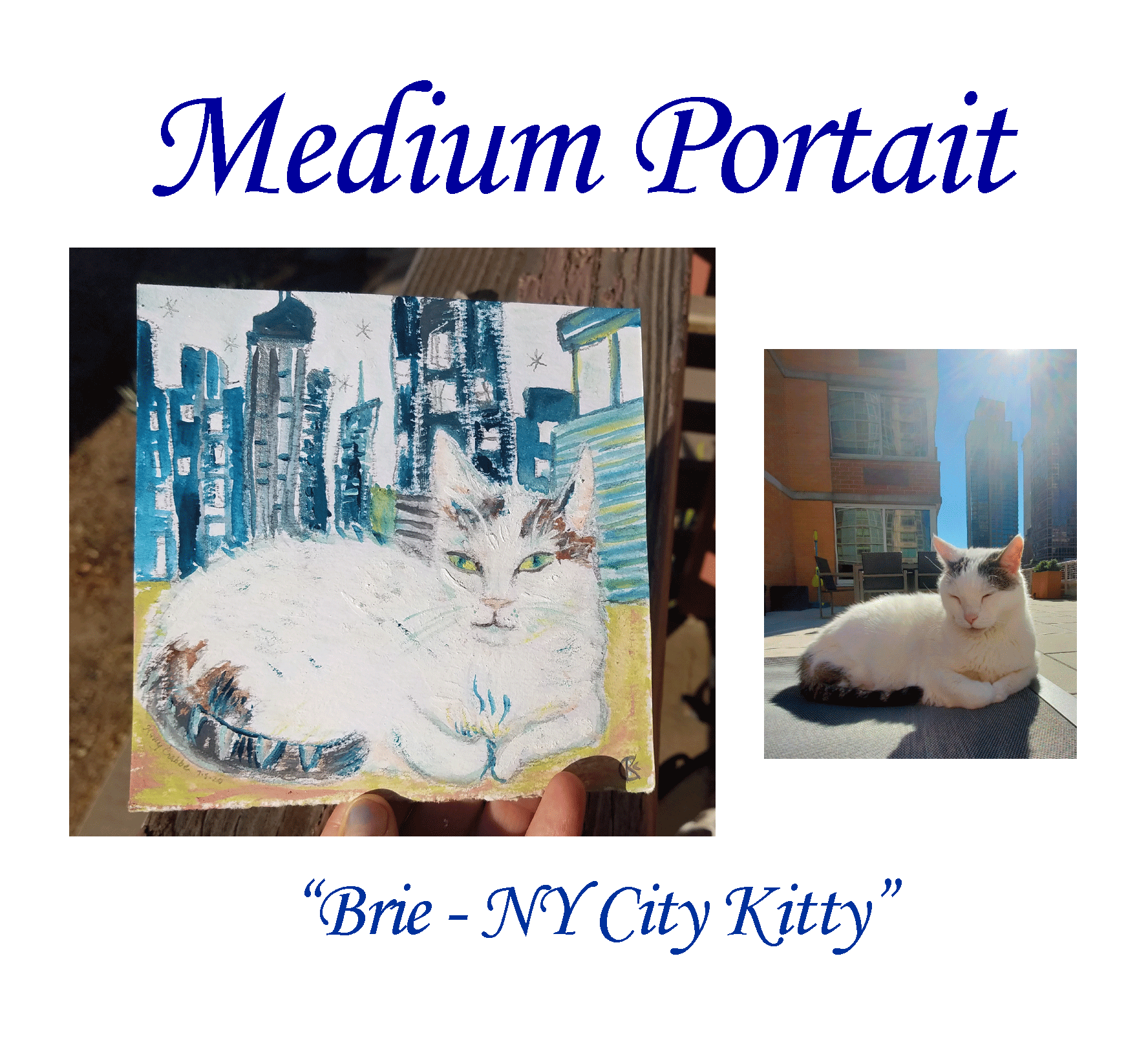 Medium-Pet-Portrait-copy-2.gif