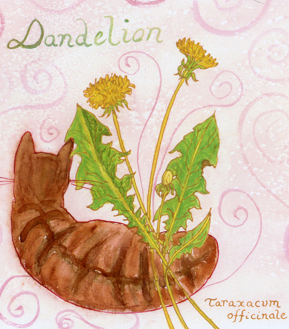 Dandelion-72-copy.gif