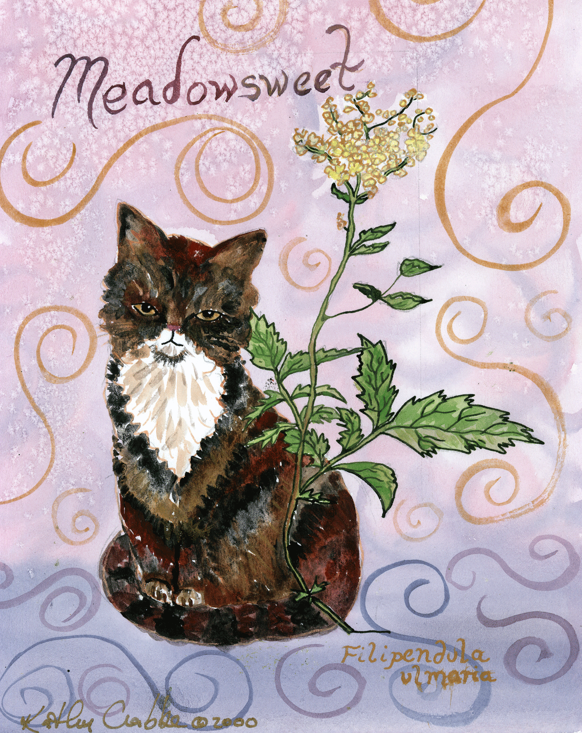 Meadowsweet-72-copy.gif