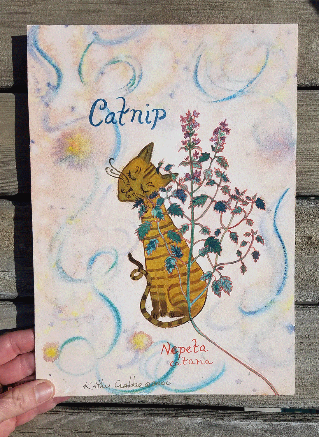 Catnip-Original-copy.gif