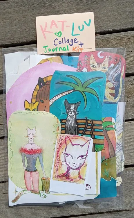 Cat Kit Front.jpg (Copy)