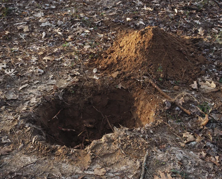 Hole_7.jpg