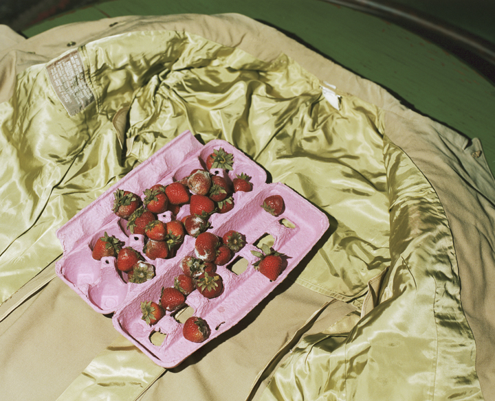 Old Fruit_6.jpg