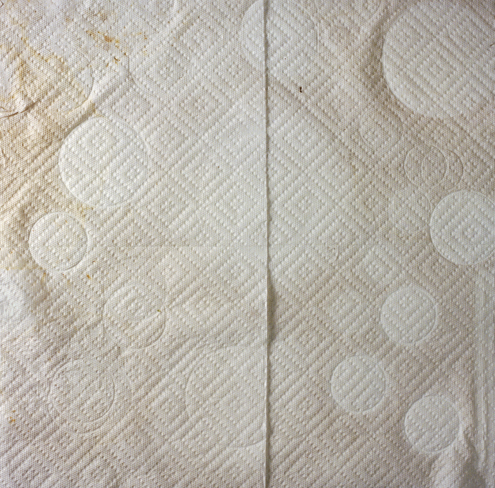 Paper Towel_3.jpg