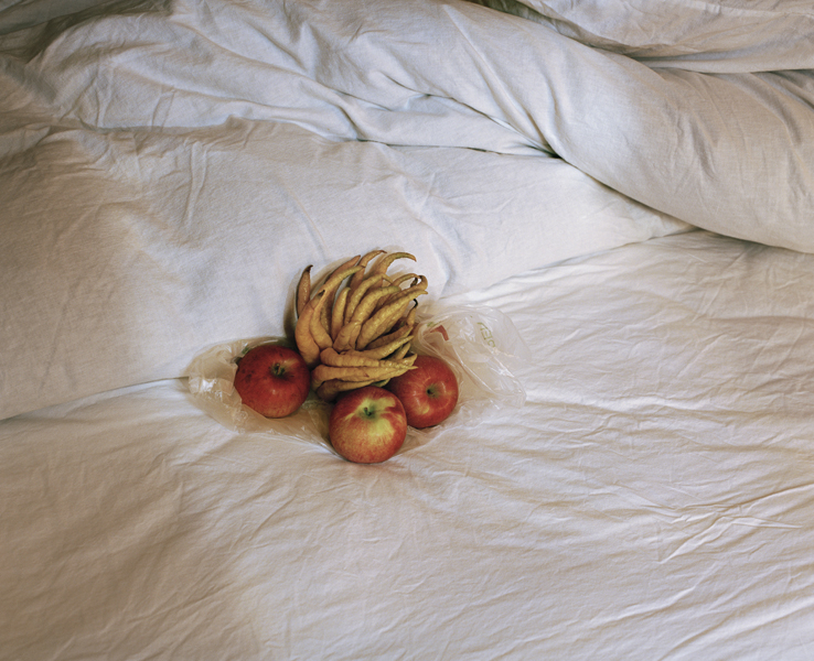 fruit in bed X5.jpg
