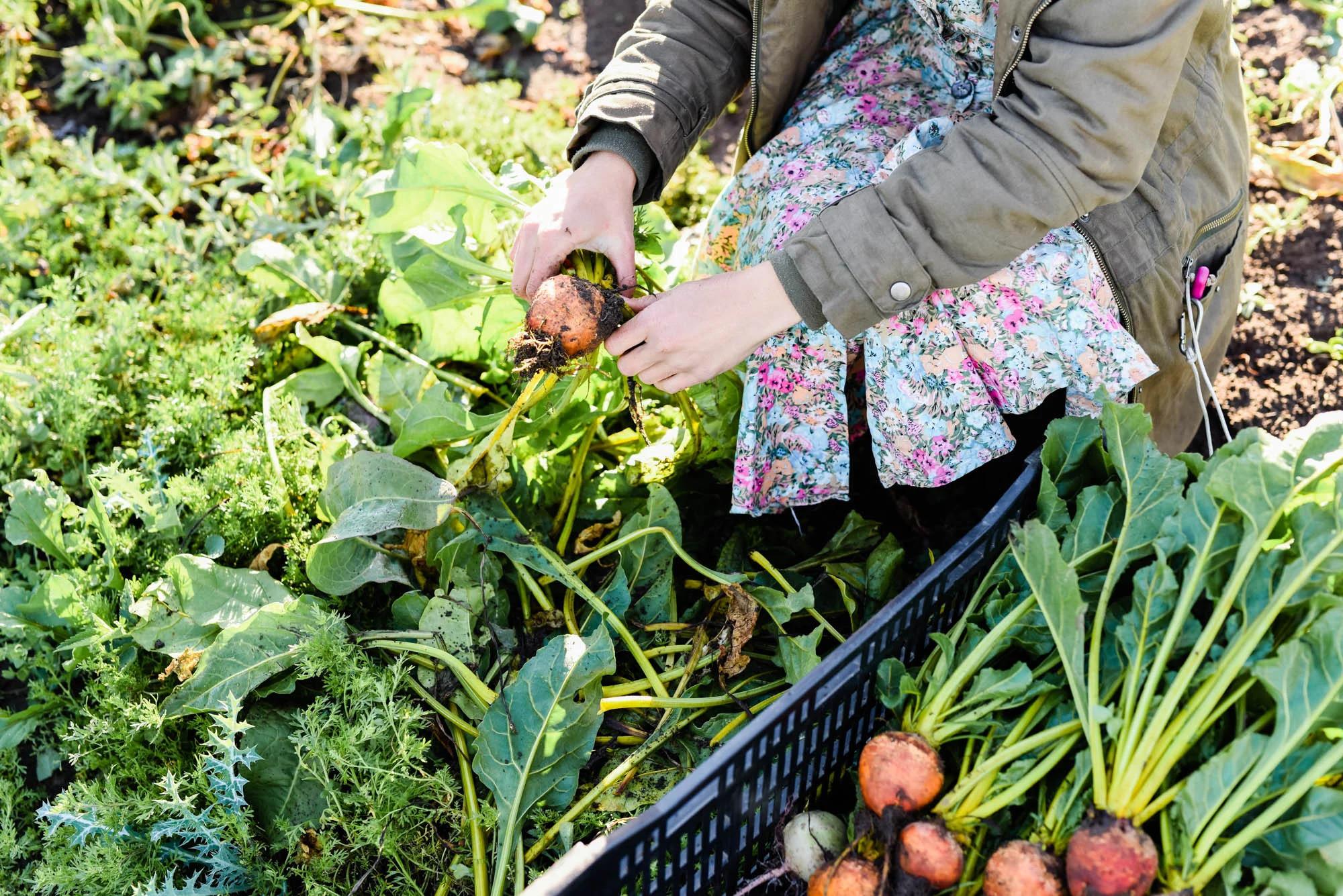 Web-hannah puechmarin-loop growers-8109.jpg