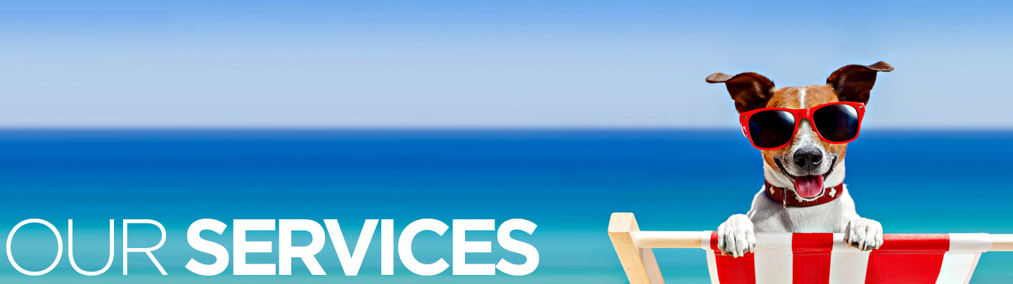 doc martin customer service