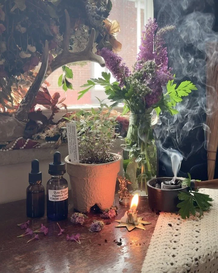 I had an encounter with wild bergamot last weekend that helped ground some of what I&rsquo;ve been learning about consent in herbalism.

Wild bergamot (bee balm) is native to Pennsylvania and grows wild in northern Appalachia, cropping up along open 