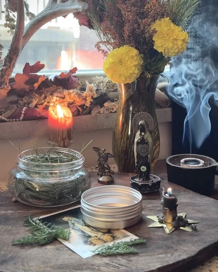 A cool-weather folk charm, which I used this weekend in a ritual salve made with our King of the Waxing Year, the eastern white pine:

Turn what harms.
Hold what heals.
Keep what grows.
Seal what shields.

✾

Eastern white pines are common throughout