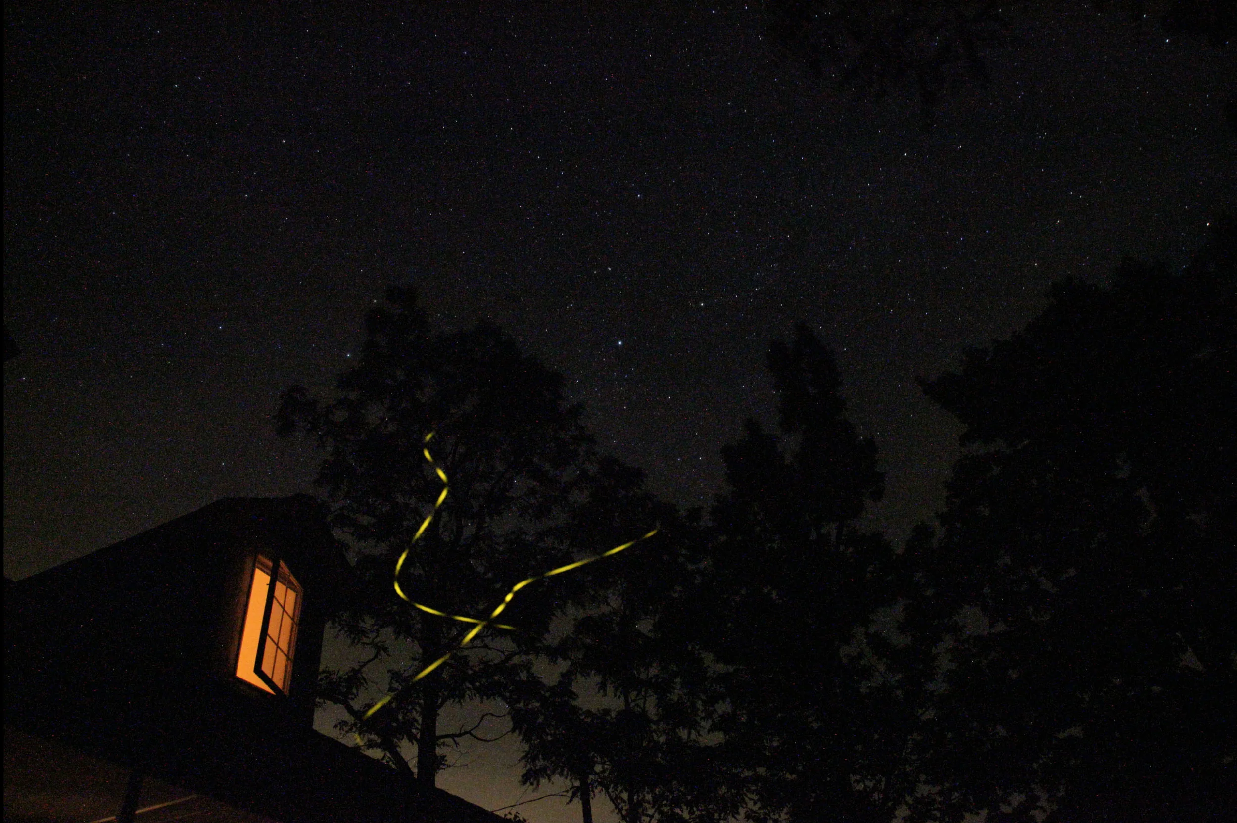 Tom Kalin - night stars fireflies.jpg