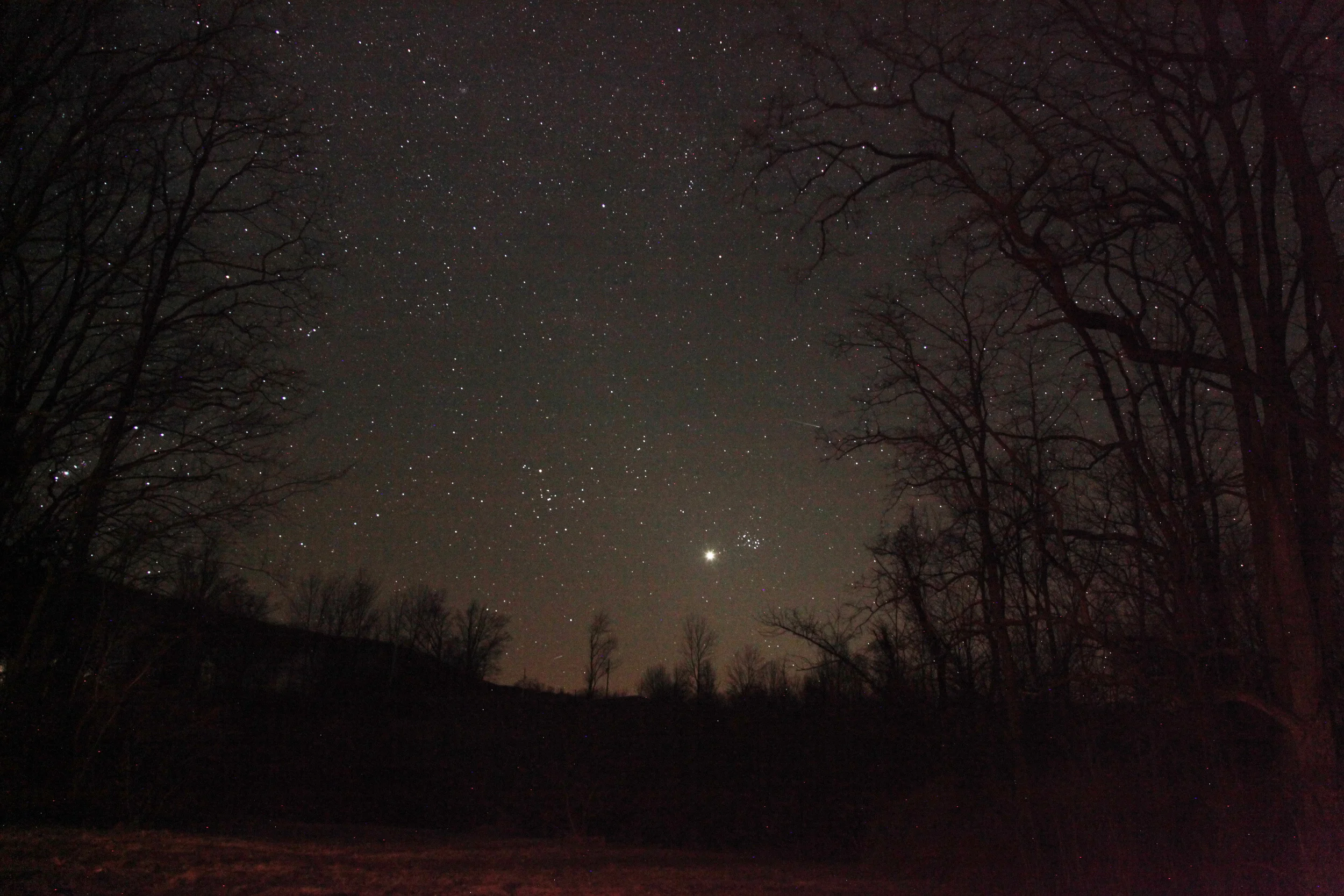 IMG_3027 Venus & 7 Sisters.jpg