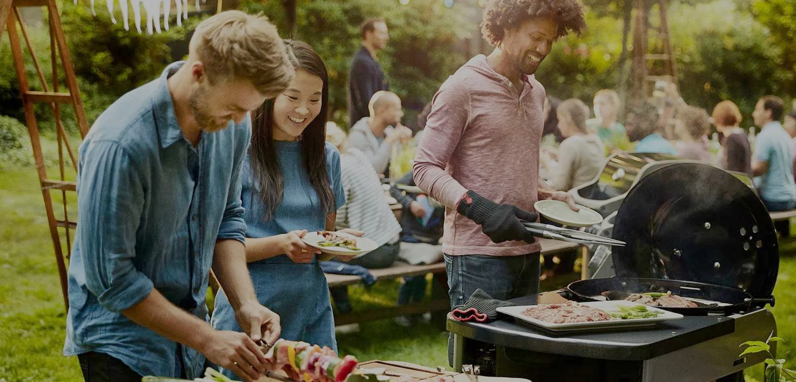 Weber Performer Series