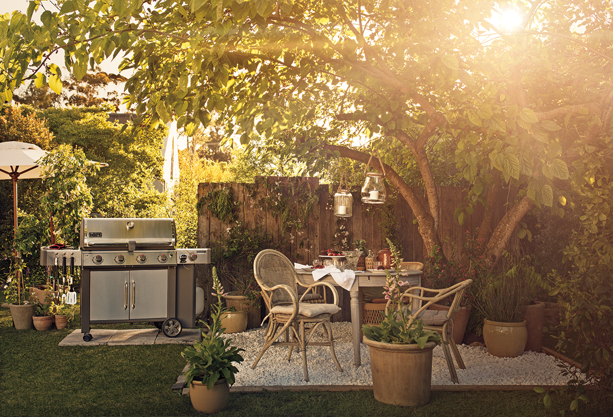 Genesis_II_S-440_Backyard1200.png