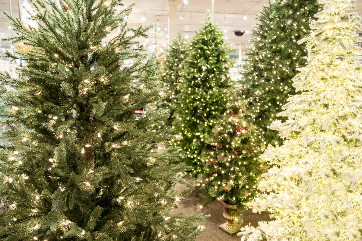 Christmas Trees